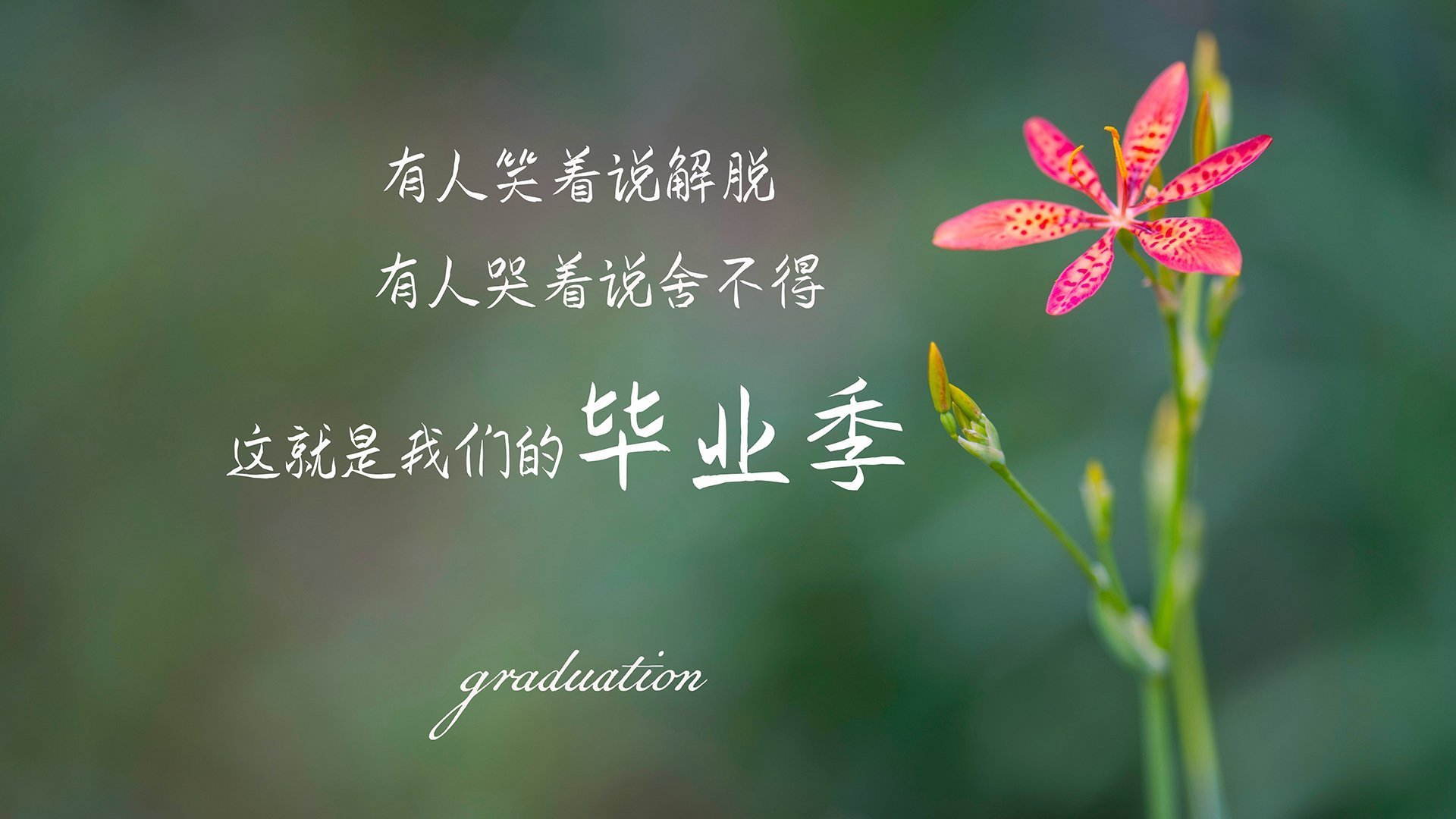电竞行业政策支持，推动行业发展迈向新阶段，电竞行业政策扶持