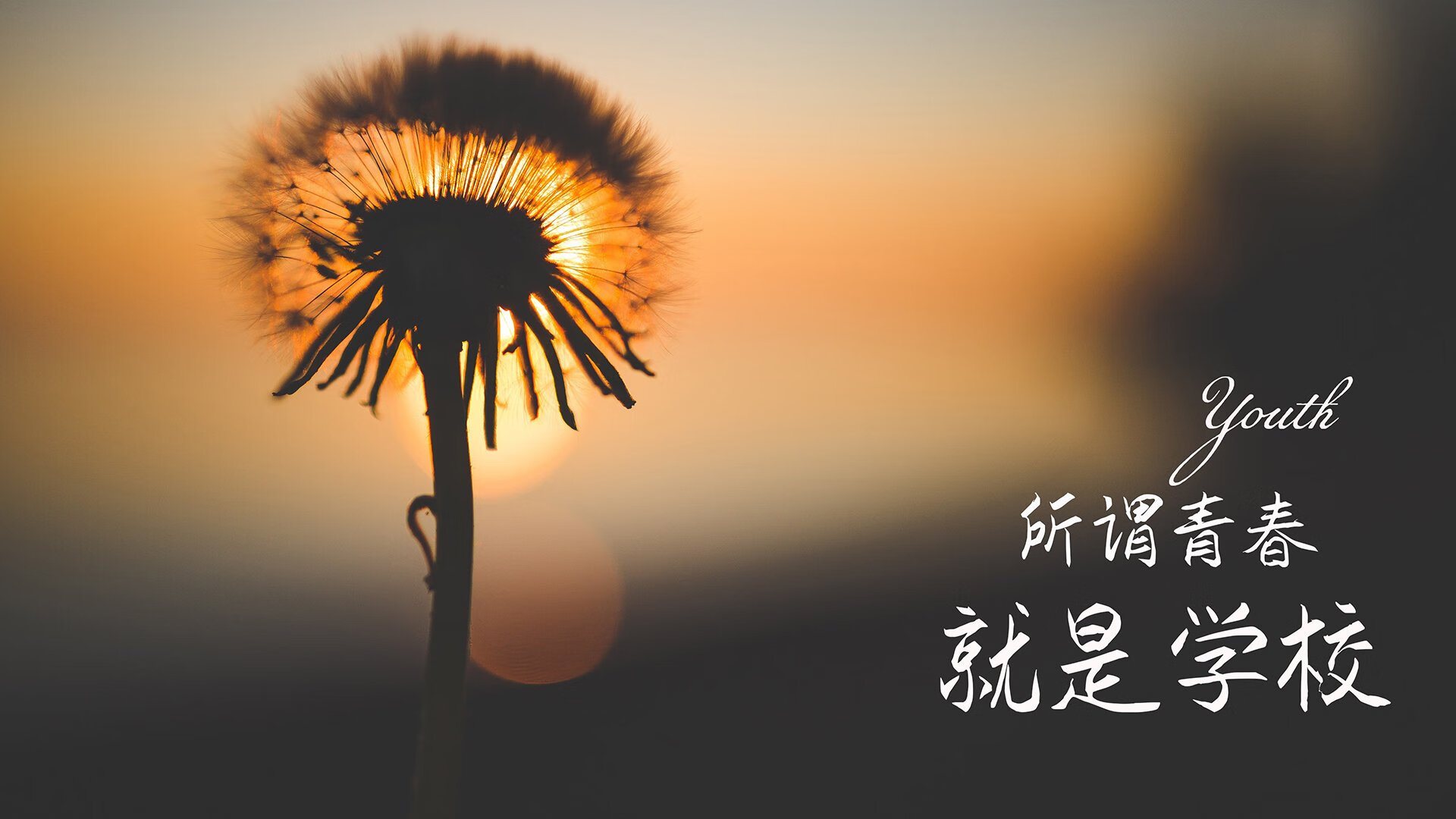 中超联赛武汉卓尔宣布换帅，中超武汉卓尔最新引援