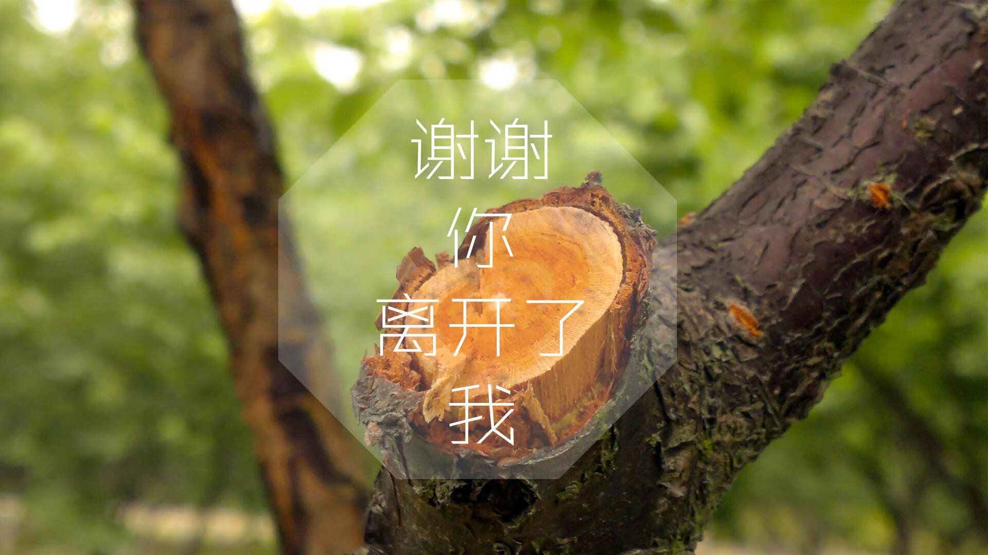 奥卡拉汉展现稳定的比赛心态，卡拉奥萨