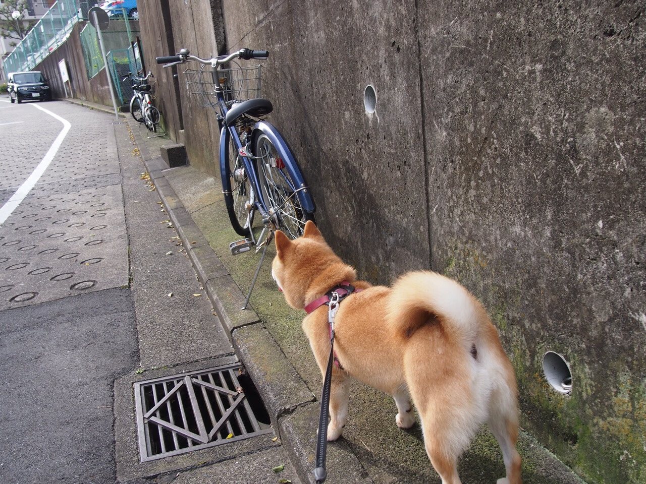 fb体育官网中国-西甲球迷文化中的创新元素，西甲球队价值